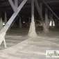 Теплоизоляция - фото № 11