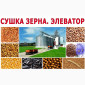Сушка зерна, кукурудзи, насіння соняшнику, сої Послуги очистки зерна. Власна лабораторія - фото № 2