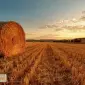 Послуги по тюкуванню соломи і сіна по Україні - фото № 1