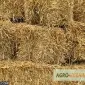 Послуги по тюкуванню соломи і сіна по Україні - фото № 2
