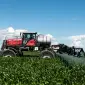 Послуги оренда самохідного обприскувача Чернігів десикація обприскувач крн прополка - фото № 1