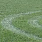 Внесение КАС - фото № 2
