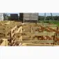 Контейнер арбузний 1200х1200х1200 мм - фото № 2