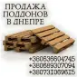 Широкий асортимент європіддонів у Дніпрі - фото № 1