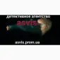 Детективное агентство Asvis - фото № 13