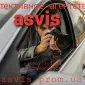 Asvis детективное агентство - фото № 5