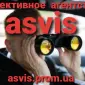 Asvis детективное агентство - фото № 13