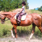 Школа верховой езды. Конные прогулки. Профи - фото № 7