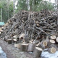 Закупаем отходы древесины от 500 м куб - фото № 1