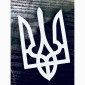 Патріотичні наліпки на авто - фото № 10
