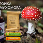 Мухомор Настойка - фото № 4