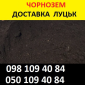 Чернозем от 200 грн/т Луцк и область Продажа и Доставка - фото № 1