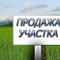 Продажа земли ОСГ в собственности - фото № 1
