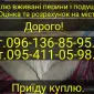 Приедим и купим б/у перья и свеежее утиное гусиное - фото № 1