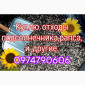 Закупаем деловые и мертвые отходы подсолнуха рапса сои и другие - фото № 4