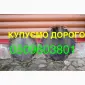Покупаем ДОРОГО сухие не соленые шкуры бобра без жира и мяса - фото № 1