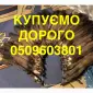 Покупаем дорого куницу / бобра / зайца - фото № 1