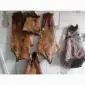 Покупаем мех бобра в сухом виде без жира и мяса - фото № 1