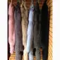 Продам шкуры песца - фото № 4