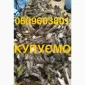 Купуємо ДОРОГО хутро шкури мех шкіри - фото № 1