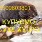 Покупаем мех бобра сухой не соленый вместе со струей - фото № 1