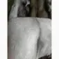 Продам шкурки финского песца - фото № 2