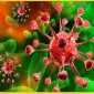 Комплексный микробиологический препарат XXI века для животных и птиц - фото № 1