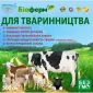 Пробіотик рідкий для тваринництва корови, свині, кози, вівці, коні та ін - фото № 1