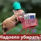 Ферментаційна Несменяєма підстилка для утримання тварин - фото № 1