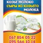 Продам козье молоко и сыры из козьего молока - фото № 1