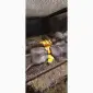 Продам молодняк нутрий - фото № 2