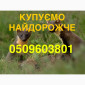 Купуємо куницю та сухого бобра НАЙДОРОЖЧЕ В УКРАЇНІ - фото № 1