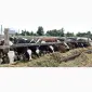 Продам нетелей мясных пород от фермерского хозяйства из 100 голов - фото № 10