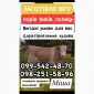 Закупка КРС - фото № 1