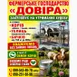 М’ясне Підприємство проводить Заготівлю ВРХ - фото № 1