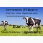 Закупаем - фото № 1