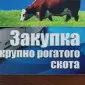ДОРОГО Куплю худобу (бики - фото № 1