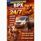 Закуповуємо ВРХ Корови Коні Бички Телиці Телята На М'ясо На Тримання - фото № 1