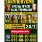 Закуповуємо ВРХ Корови Коні Бички Телиці Телята На М'ясо На Тримання - фото № 1