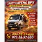 Закуповуємо ВРХ На М'ясо. Корови Коні. Бички.Телиці. ТЕЛЯТА - фото № 2