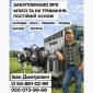 Закупаем Крупный Рогатый Скот : КРС. Коровы.Лошади.Бычки.Телицы. На Мясо И На Содержание - фото № 1