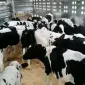 Покупка - фото № 1