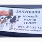 Куплю ВРХ, Корів, Коней, Дорізів молодняк - фото № 1