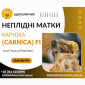 Неплідні бджоломатки Карніка - фото № 1