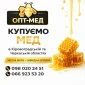 Покупаем мед оптом в Жильже Ровенская область - фото № 1