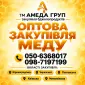 Закупка меда оптом у пчеловодов АМЕДА ГРУП - фото № 1