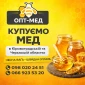 Купуємо мед від 300 кг – ОПТ-МЕД - фото № 1