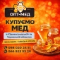 Покупаем мед в с. Жильжа Ровенская обл. оптом - фото № 1