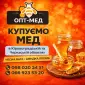 Купуємо МЕД в Черкаській обл. ОПТ-МЕД - фото № 1