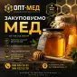 Купаем мед подсолнечниковый. ОПТ-МЕД - фото № 1